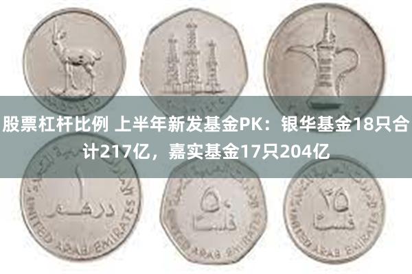 股票杠杆比例 上半年新发基金PK：银华基金18只合计217亿，嘉实基金17只204亿