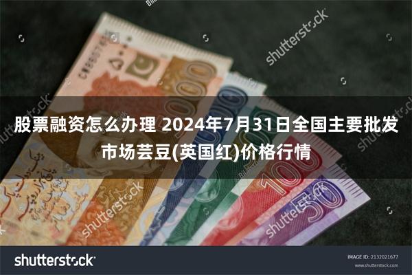 股票融资怎么办理 2024年7月31日全国主要批发市场芸豆(英国红)价格行情