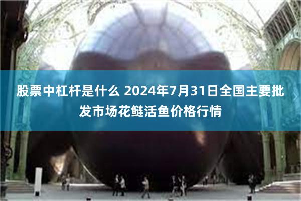 股票中杠杆是什么 2024年7月31日全国主要批发市场花鲢活鱼价格行情