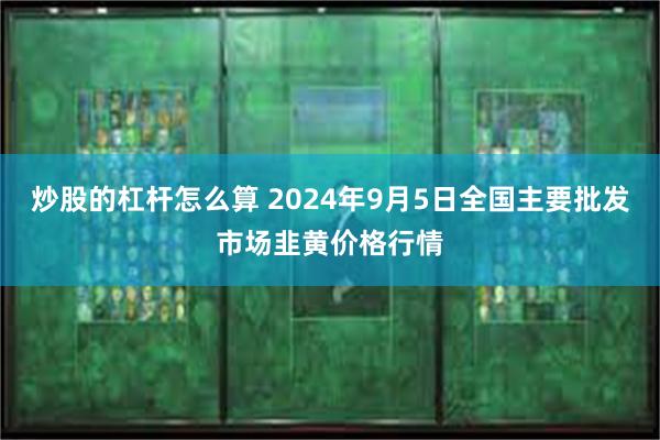 炒股的杠杆怎么算 2024年9月5日全国主要批发市场韭黄价格行情