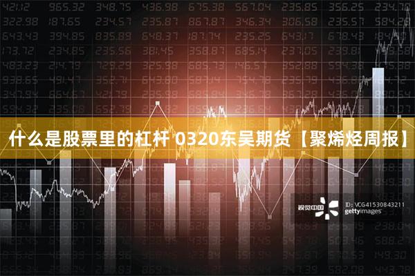 什么是股票里的杠杆 0320东吴期货【聚烯烃周报】