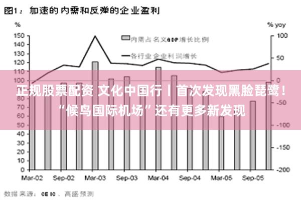 正规股票配资 文化中国行丨首次发现黑脸琵鹭！“候鸟国际机场”