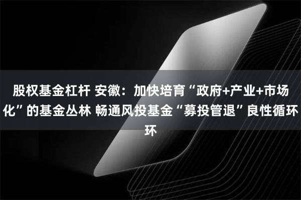 股权基金杠杆 安徽：加快培育“政府+产业+市场化”的基金丛林