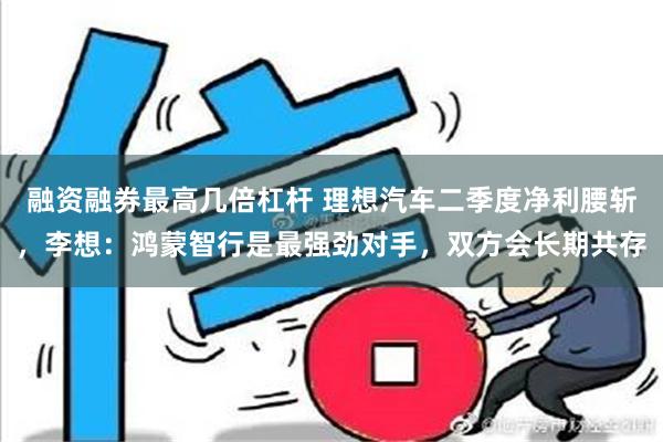 融资融券最高几倍杠杆 理想汽车二季度净利腰斩，李想：鸿蒙智行