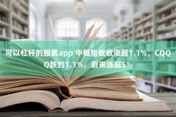 可以杠杆的股票app 中概指数收涨超1.1%，CQQQ跌约1.1%，蔚来涨超5%