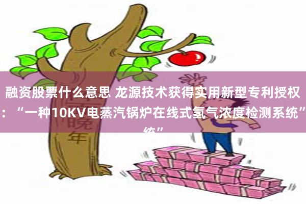 融资股票什么意思 龙源技术获得实用新型专利授权：“一种10K