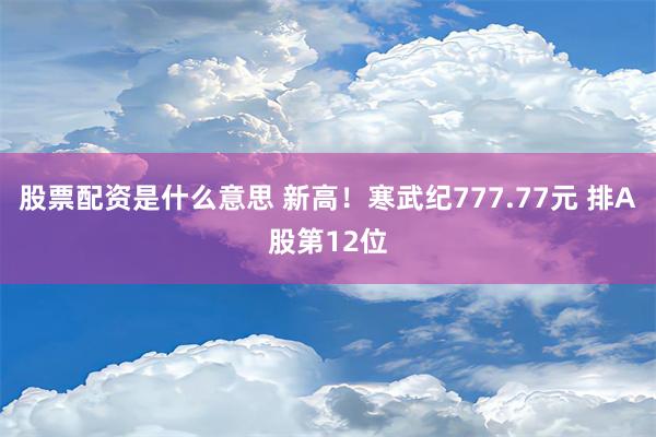 股票配资是什么意思 新高！寒武纪777.77元 排A股第12