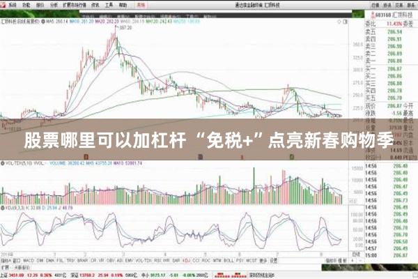 股票哪里可以加杠杆 “免税+”点亮新春购物季