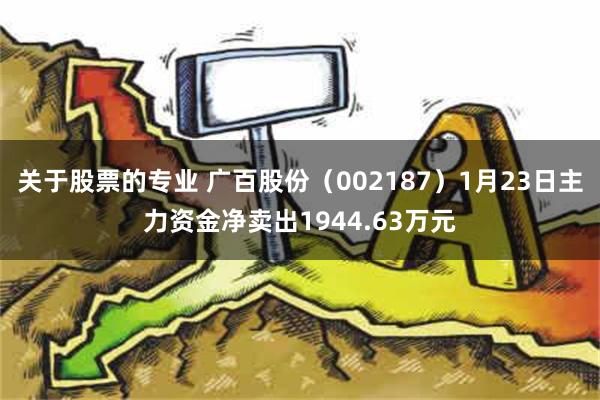 关于股票的专业 广百股份（002187）1月23日主力资金净